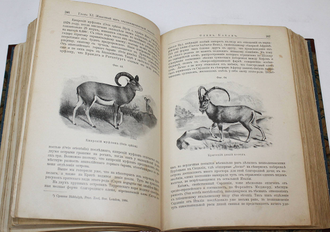 Кобельт В. Географическое распределение животных в холодном и умеренном поясах северного полушария. СПб.: Изд. А.Ф. Девриена, 1903.