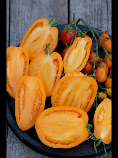 Томат Минусинские Стаканы Оранжевые, 10 шт