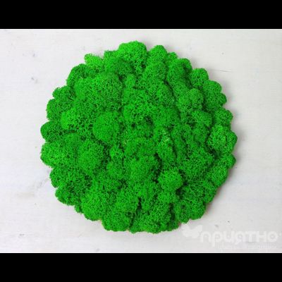 ЖИВАЯ ЭКО-КАРТИНА 1042