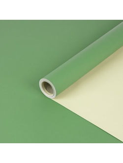 Пленка двусторонняя "Два цвета" 58см*10м Зеленый / Бледно-зеленый ПР01/9