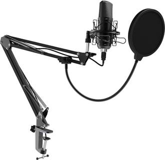 Профессиональный конденсаторный студийный микрофон RDM-169 (черный)