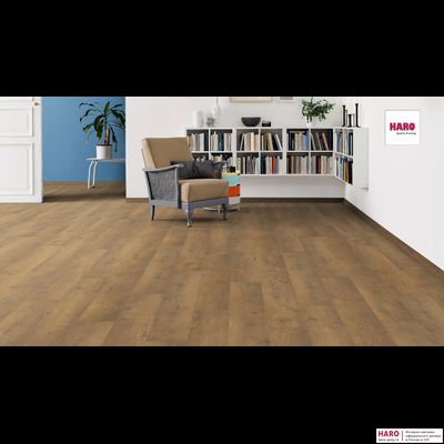 Ламинат Haro Tritty 100 Campus Дуб Бергамо Натур 538747 33 класс толщина 8 мм с фаской 2.13 м2