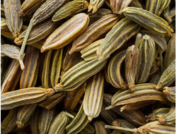 Фенхель (Foeniculum vulgare), семена, Крым (5 мл) - 100% натуральное эфирное масло