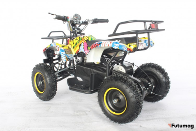 Квадроцикл GreenCamel Гоби K21 (30 Ah 36V 800W R6 Цепь) Граффити