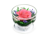 Композиция из розовой розы, CuSRp / Цветы в стекле