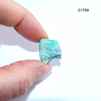 Бирюза натуральная (необработанная) Казахстан арт.21799: 2,5г - 14*16*11мм