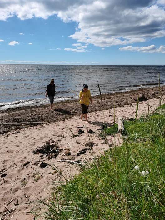 Терский берег Белого моря