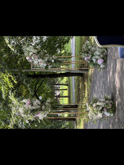 Арка для выездной церемонии "Столбики 1"