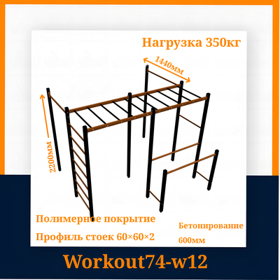 Спортивная площадка Workout w12