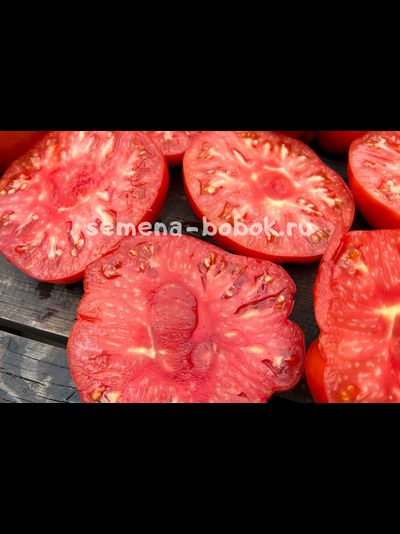 Томат Red Brandywine, Landis Valley (Красный Брендивайн Долина Лэндис), 10 шт
