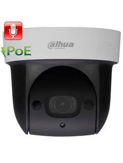 DH-SD29204T-GN IP камера Dahua