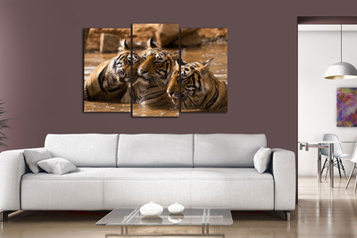 Модульная картина "Тигры в воде"