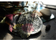 Нож для вырубки "Муха-Цокотуха"