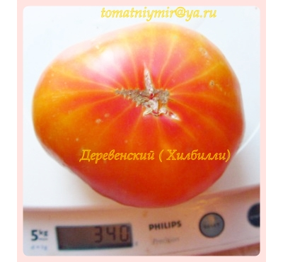 Томат Деревенский (HILBILLY)