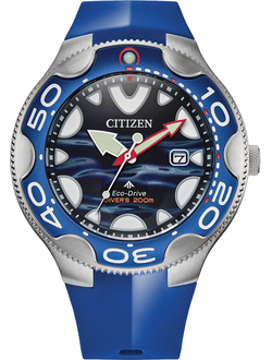 Наручные часы Citizen BN0238-02L