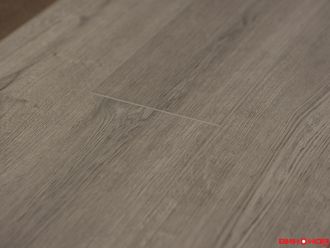 Дуб пепельный