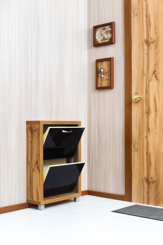 Обувница Айрон-2 (фасад стекло черное)