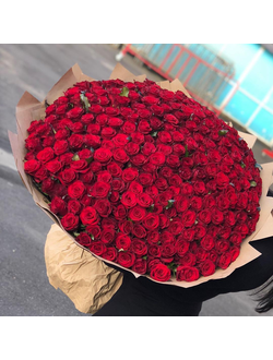 Букет из 303 красных роз 70см "Премиум"