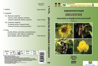 Часть 4. Цветок. Соцветие. Плод  (4 сюжета, 26 мин), Анатомия и морфология растений, DVD-диск