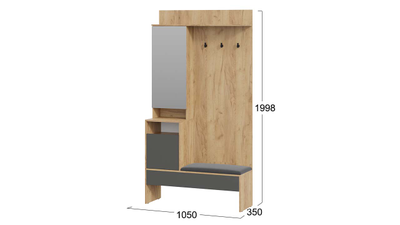 Прихожая Эвита Тип 2 - Секция комбинированная Тип 2 Дуб Крафт золотой/Графит