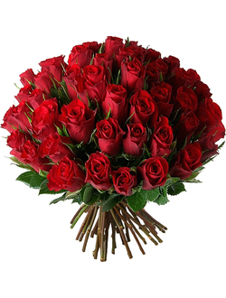 Розы Кения Ред Калипсо 50 см