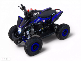 Детский бензиновый квадроцикл MOTAX GEKKON 90