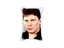 Подушка Сектор Газа, Юрий Хой №16