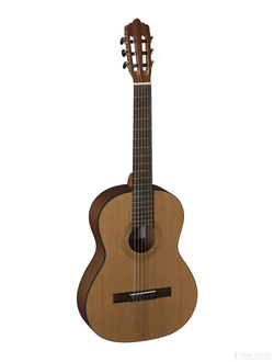 La Mancha Rubinito CM