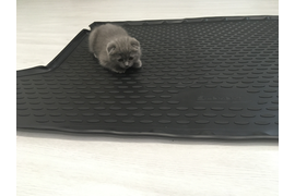 Полиуретановый коврик в багажник Element