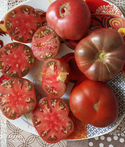 Томат Черный Крым (Black Krim)