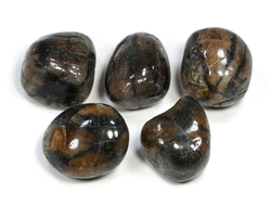 Хиастолит (андалузит) в ассортименте, галтовка (22-24 мм, 10-14 г) №22701