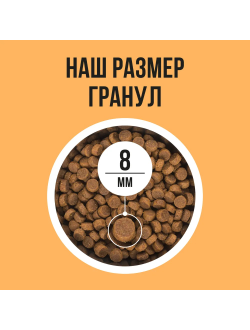 BOWL WOW (Боул Вау) корм сухой для кошек с чувствительным пищеварением Индейка, Курица, Тыква 400 г