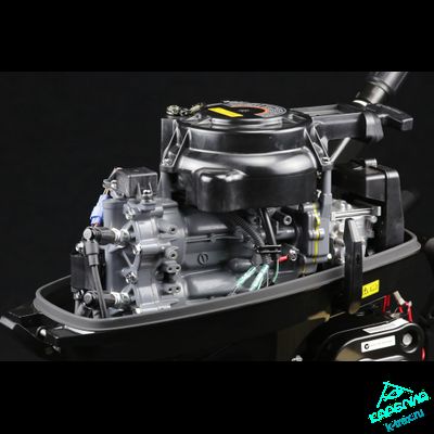 Лодочный мотор Suzuki DT9.9AS