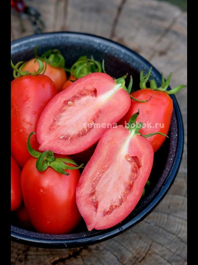 Томат Incas (Инки), 10 шт