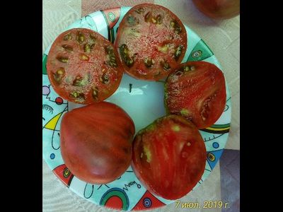 Томат Шоколадное сердце Рейнхарда Крафта (Reinhard Kraft Chocolate Heart)