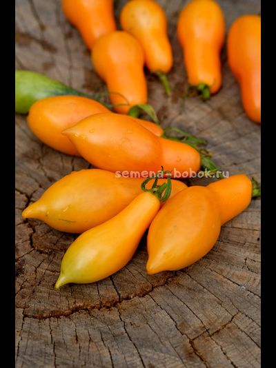 Томат Валентино ( Valentino ), 10 шт