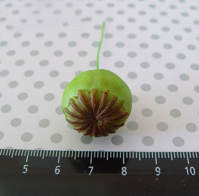 Набор силиконовых молдов "Маковка+Бутоны мака"