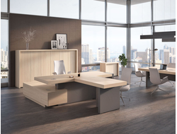 Кабинет руководителя ERA