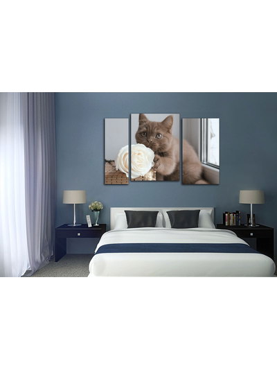 Модульная картина "Кот с розой"