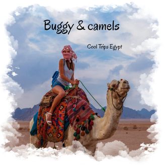 Buggy safari and camel ride (morning or afternoon)