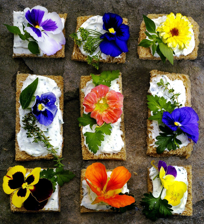 Съедобные цветы milora.ru