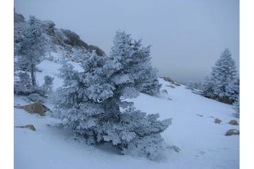 Хребет Зюраткуль