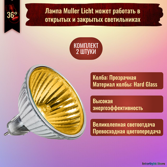 Muller Licht HLRG-550FG/Goldlite EXN/C 50w 36° 12v GU5.3