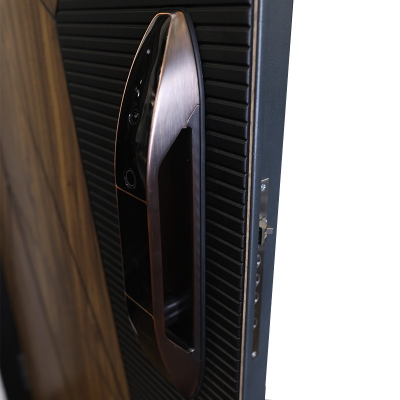 Стальная дверь   Mix. Заказная модель.