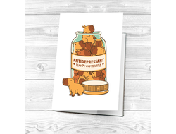 Картхолдер Капибара, Kapibara-san №14