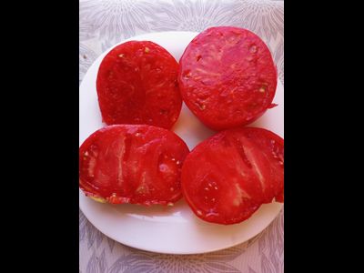 Томат Минусинец