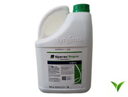 Ураган Форте ВР 10л