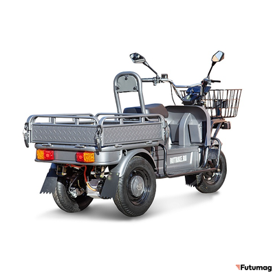 Грузовой электротрицикл Rutrike Баркас 740 60V1000W