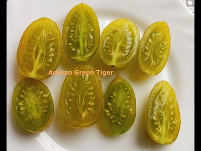 Томат черри Зеленый тигр (Artisan Green Tiger)