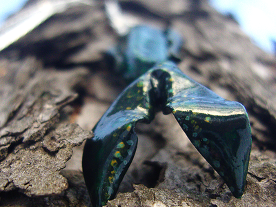 Подвеска "Рыба Древних" в тёмно-зелёной цветовой гамме